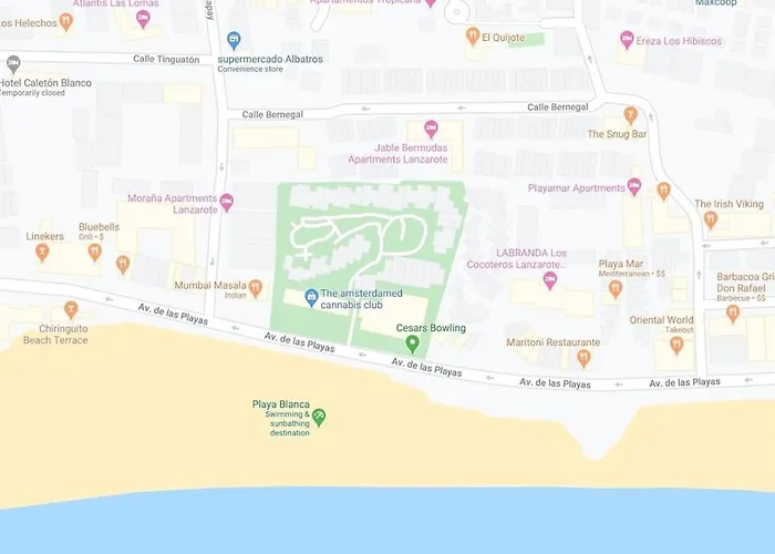 Tabaibas Puerto del Carmen (Lanzarote)