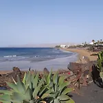 Tabaibas Puerto del Carmen (Lanzarote)