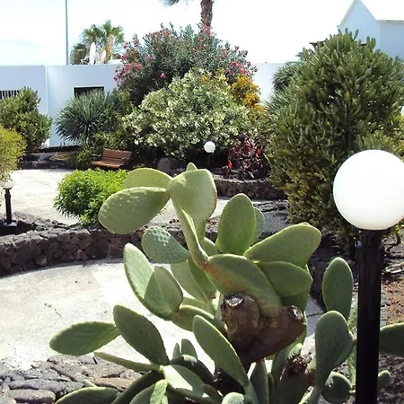 Tabaibas Lejlighed Puerto del Carmen (Lanzarote)