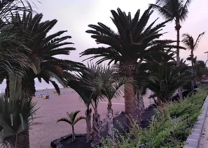 Tabaibas Apartmán *